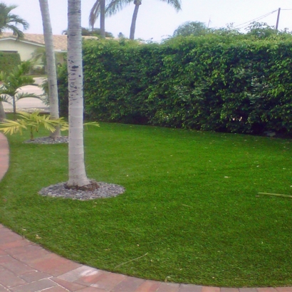 Synthetic Grass Cost Spring Arbor, Michigan Gardeners, Front Yard Ideas