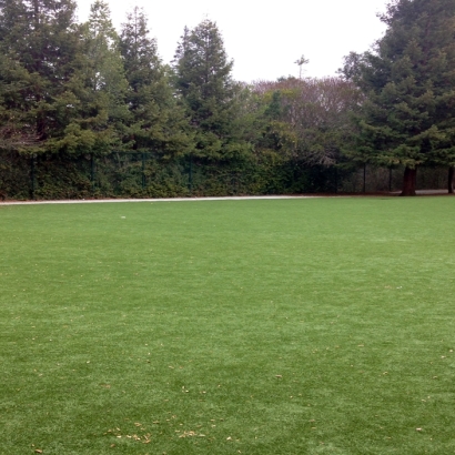 Synthetic Grass Kalamazoo, Michigan Gardeners, Recreational Areas