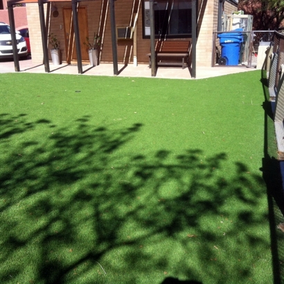 Synthetic Grass Potterville, Michigan City Landscape, Backyard Landscaping Ideas