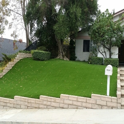 Synthetic Grass Skidway Lake, Michigan Rooftop, Front Yard