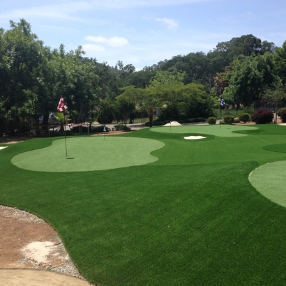 Synthetic Lawn Croswell, Michigan Indoor Putting Green, Front Yard