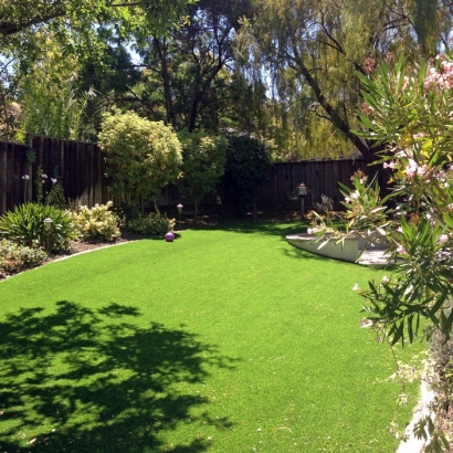 Synthetic Turf South Monroe, Michigan Design Ideas, Backyard Designs