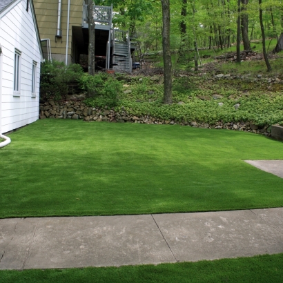 Synthetic Turf Supplier Potterville, Michigan Landscaping, Front Yard Landscaping