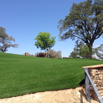 Turf Grass Brooklyn, Michigan Rooftop, Small Front Yard Landscaping