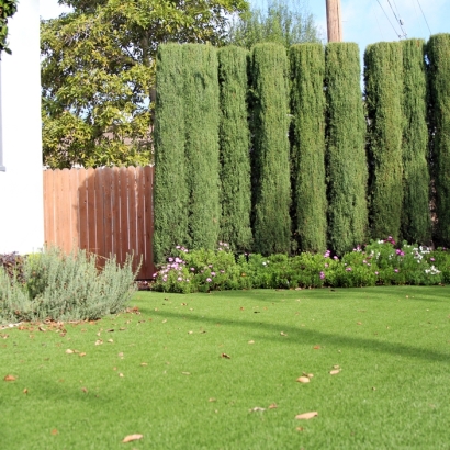 Turf Grass Mount Morris, Michigan Landscape Rock, Front Yard Design