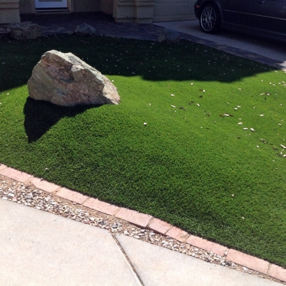 Turf Grass Watervliet, Michigan Home And Garden