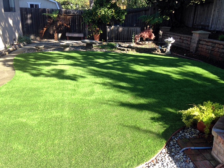 Artificial Grass Akron, Michigan Pictures Of Dogs, Backyard