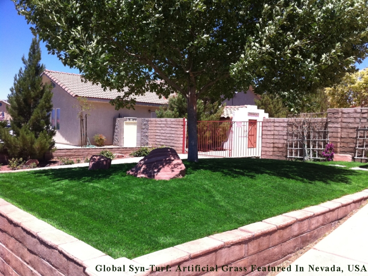 Artificial Grass Allen Park, Michigan Home And Garden, Front Yard Design