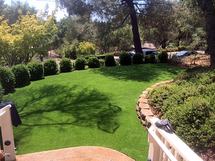 Artificial Grass Beverly Hills, Michigan Lawn And Landscape, Backyard Landscape Ideas