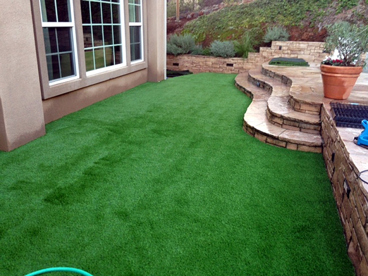 Artificial Grass Buena Vista, Michigan Lawn And Landscape, Backyards