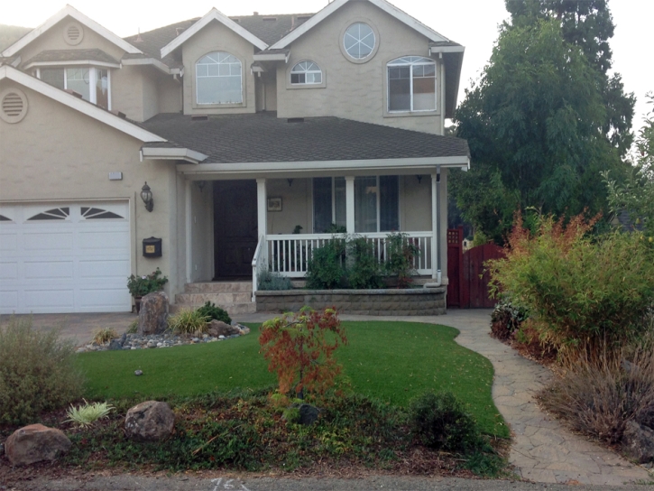 Artificial Grass Carpet Addison, Michigan Landscape Ideas, Front Yard