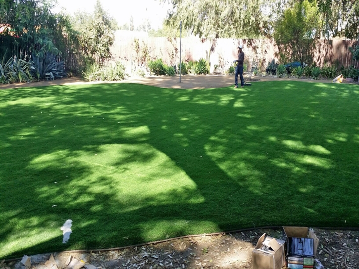 Artificial Grass Carpet Byron Center, Michigan Gardeners, Small Backyard Ideas