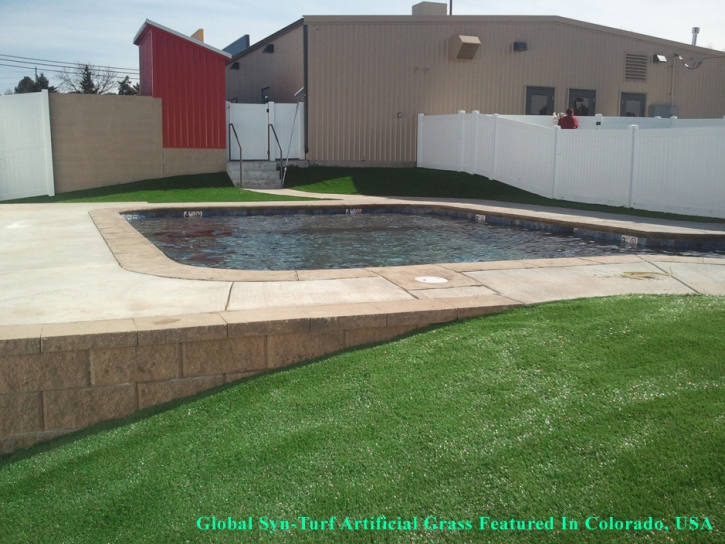 Artificial Grass Carpet Center Line, Michigan Landscaping, Above Ground Swimming Pool