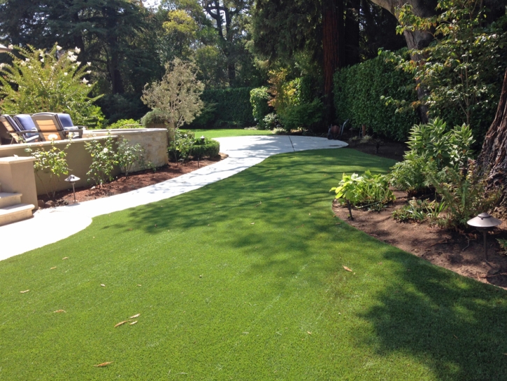 Artificial Grass Carpet Dansville, Michigan City Landscape, Backyard