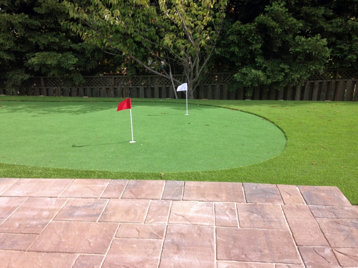 Artificial Grass Carpet Fennville, Michigan Landscape Rock, Backyard Ideas