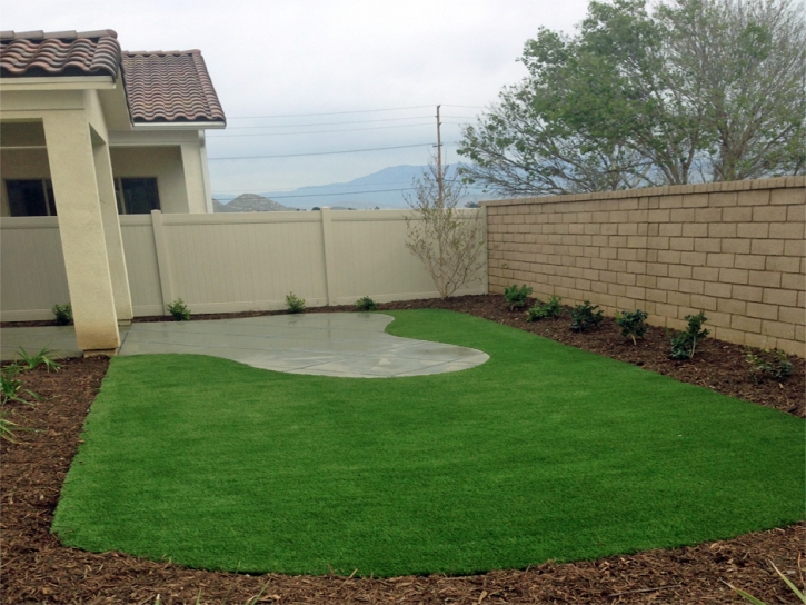 Artificial Grass Carpet Grand Ledge, Michigan Design Ideas, Backyard Design