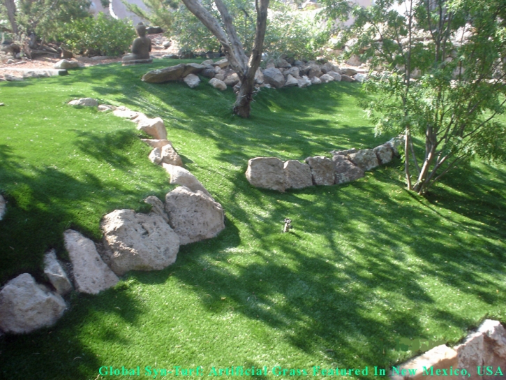 Artificial Grass Carpet Grosse Pointe, Michigan Landscape Rock, Pavers