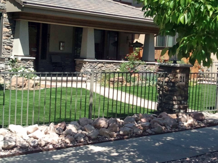 Artificial Grass Carpet Harper Woods, Michigan Roof Top, Front Yard Landscaping Ideas