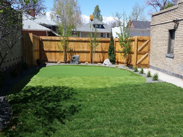 Artificial Grass Carpet Marine City, Michigan Home And Garden, Backyard Landscaping Ideas