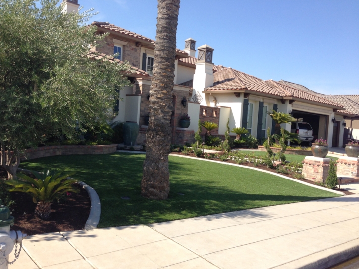 Artificial Grass Carpet Montrose, Michigan Roof Top, Front Yard Landscape Ideas