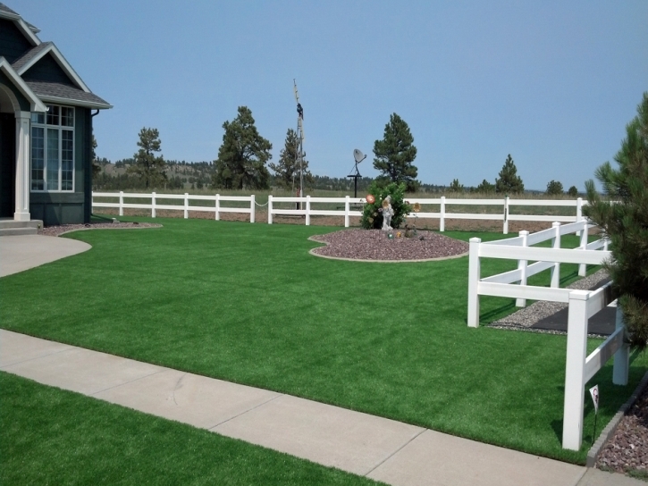 Artificial Grass Carpet Nashville, Michigan Landscaping Business, Backyard Landscape Ideas