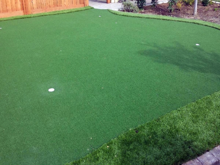 Artificial Grass Carpet Oak Park, Michigan Landscaping