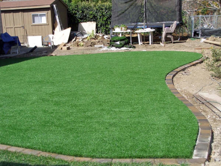 Artificial Grass Carpet Otisville, Michigan Home And Garden, Backyard Design