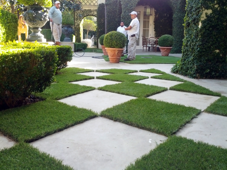 Artificial Grass Carpet Pearl Beach, Michigan Landscaping, Pavers