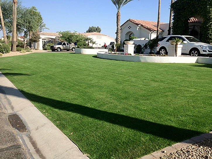 Artificial Grass Carpet Webberville, Michigan Design Ideas, Front Yard Landscaping Ideas