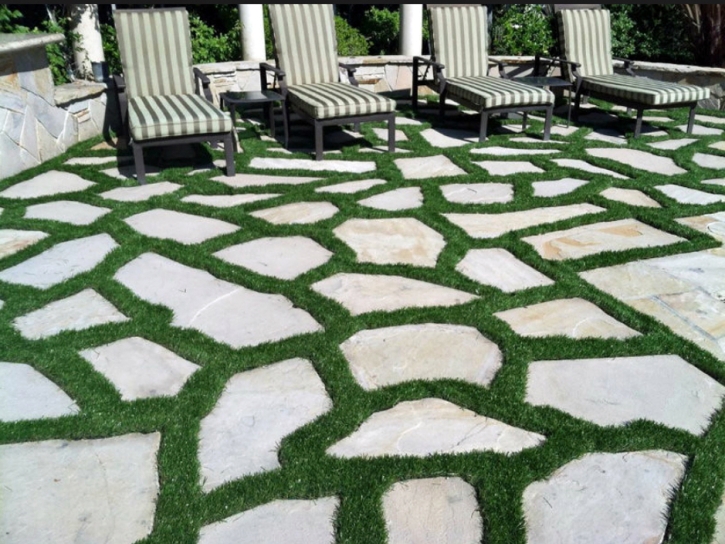 Artificial Grass Carpet Williamston, Michigan Lawn And Landscape, Backyard