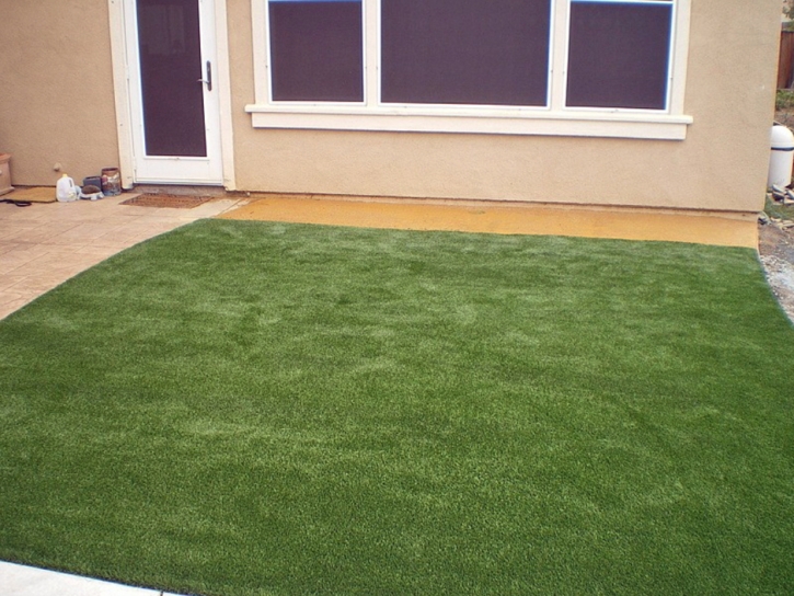 Artificial Grass Fowlerville, Michigan Gardeners, Backyard Makeover