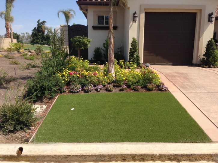 Artificial Grass Ithaca, Michigan Design Ideas, Front Yard