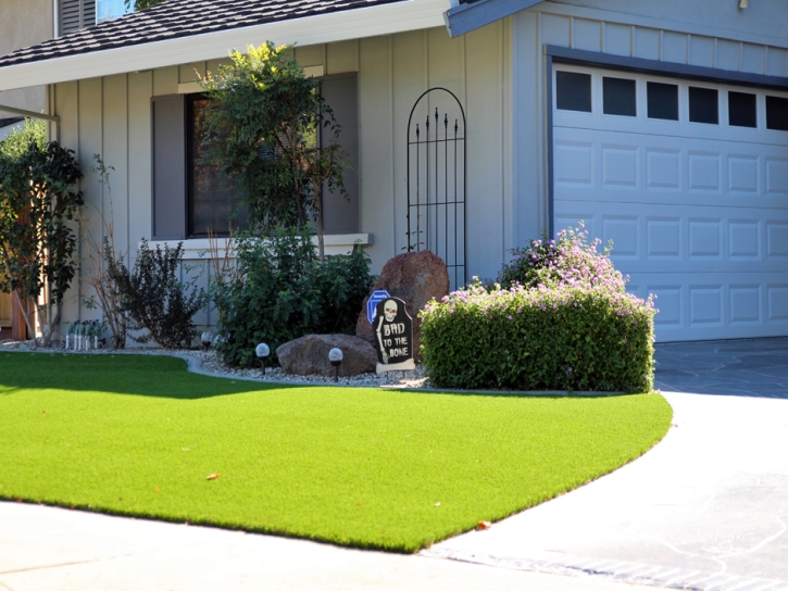 Artificial Grass Paw Paw, Michigan Design Ideas, Front Yard Ideas