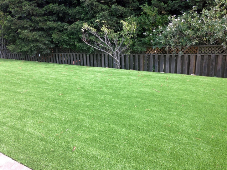 Artificial Grass Reed City, Michigan Lawn And Landscape, Backyard Makeover