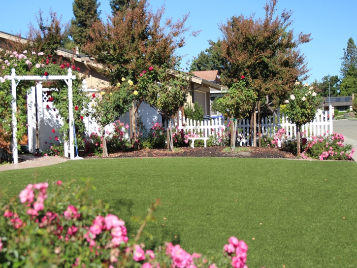 Artificial Grass Southgate, Michigan Landscaping Business, Front Yard Landscaping