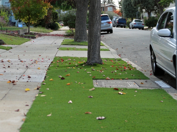 Artificial Grass Tecumseh, Michigan Roof Top, Front Yard Ideas