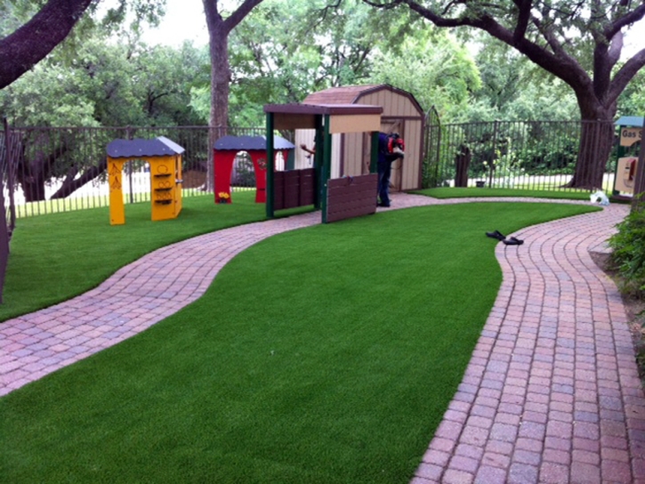 Artificial Lawn Barton Hills, Michigan Roof Top, Commercial Landscape