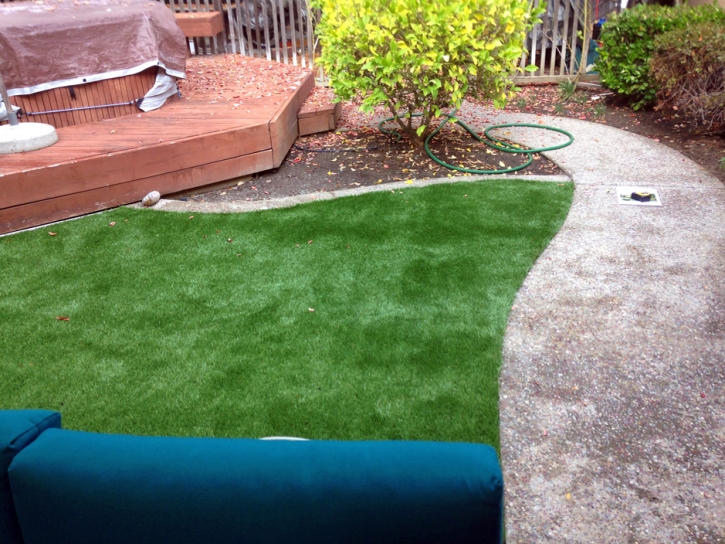 Artificial Lawn Imlay City, Michigan Landscape Ideas, Backyard Designs