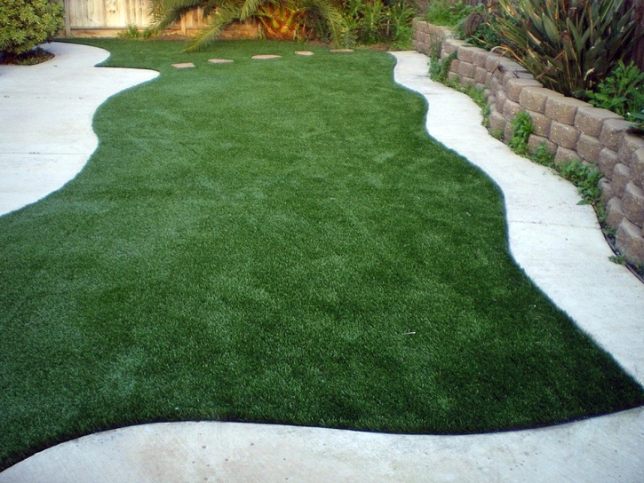 Artificial Lawn Martin, Michigan Gardeners, Backyard Landscape Ideas