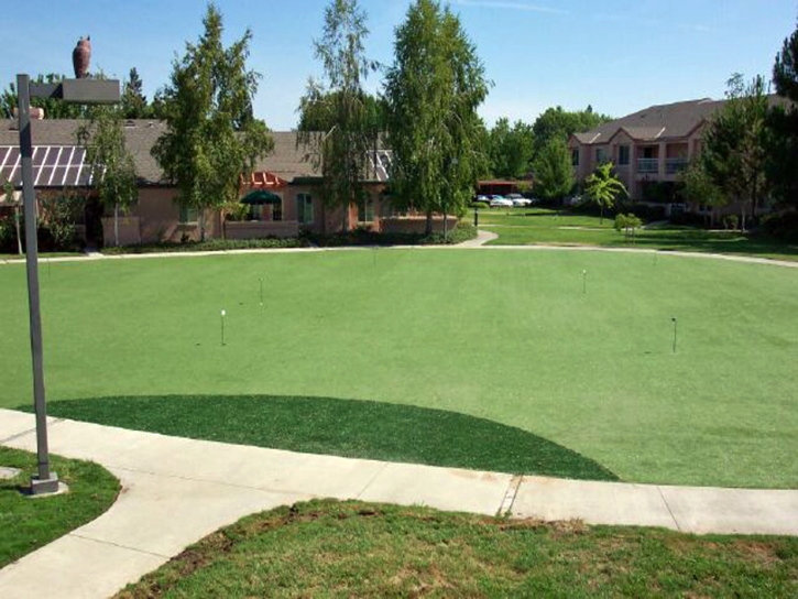 Artificial Lawn Mendon, Michigan Indoor Putting Greens, Commercial Landscape