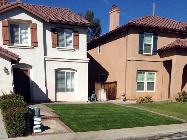 Artificial Lawn Morrice, Michigan City Landscape, Front Yard Design