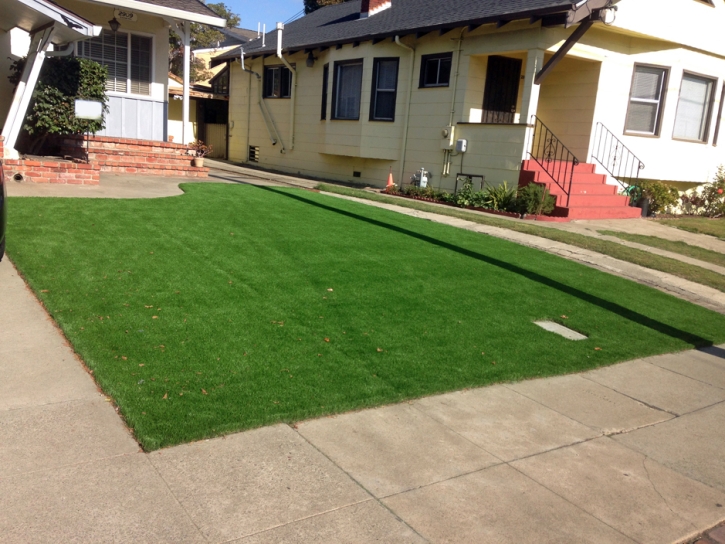 Artificial Lawn Ortonville, Michigan Lawns, Front Yard Design