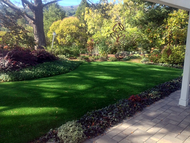 Artificial Lawn Wayne, Michigan Landscape Design, Backyard Designs