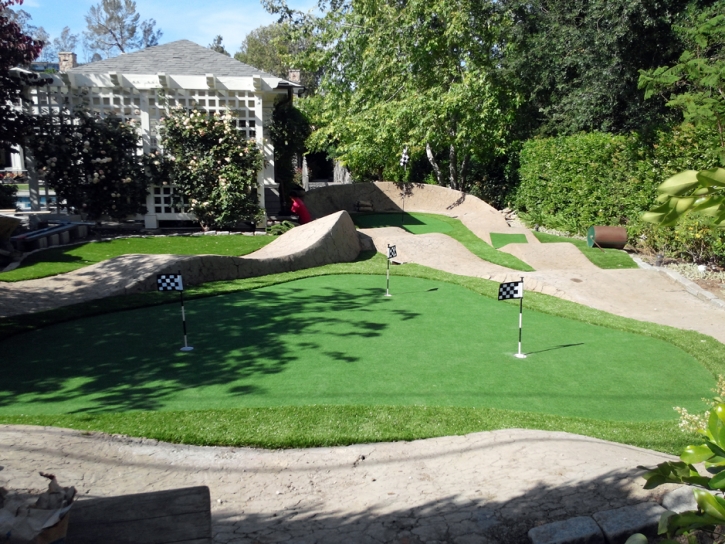 Artificial Turf Cedar Springs, Michigan Putting Green, Backyard Landscaping