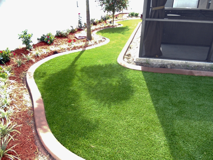 Artificial Turf Cost Albion, Michigan Landscaping Business, Backyard Landscape Ideas