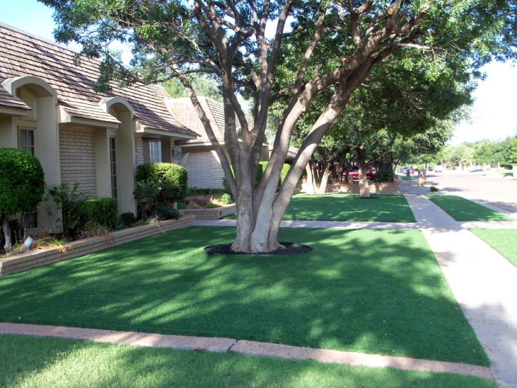 Artificial Turf Cost Carsonville, Michigan Landscaping Business, Front Yard