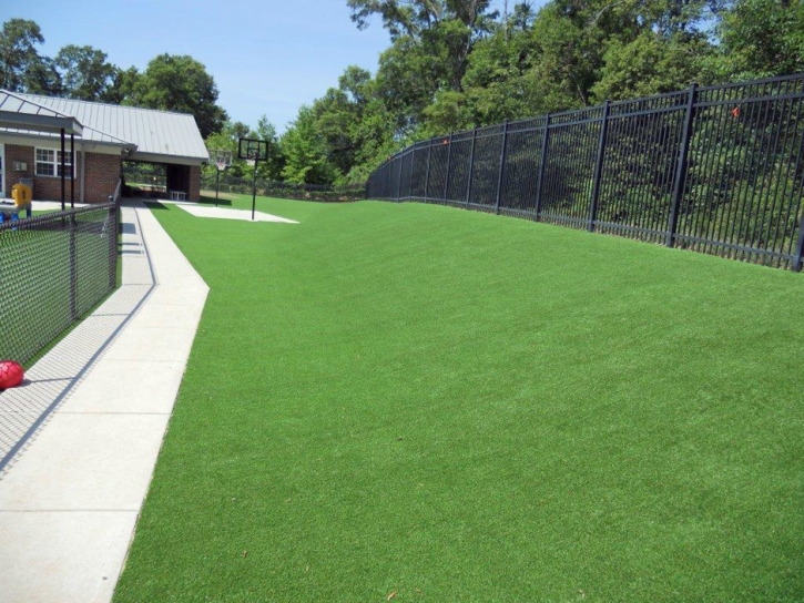 Artificial Turf Cost Fostoria, Michigan Lawns, Commercial Landscape