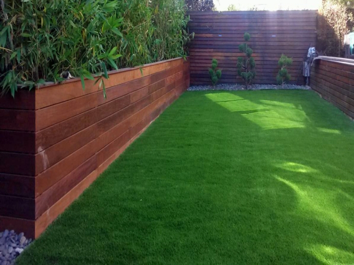 Artificial Turf Cost Hillsdale, Michigan Design Ideas, Backyard Design