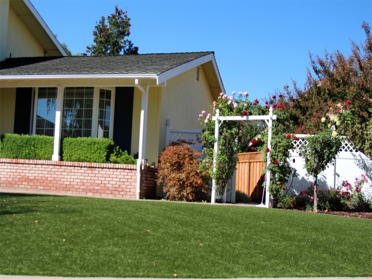 Artificial Turf Cost Rockford, Michigan Lawn And Garden, Front Yard Landscaping Ideas