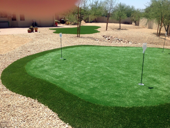 Artificial Turf Cost Rose City, Michigan Indoor Putting Green, Backyard Landscaping Ideas